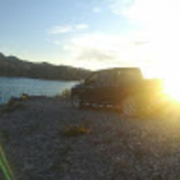 Meet your Posher, Steve - Picture 1 of 1